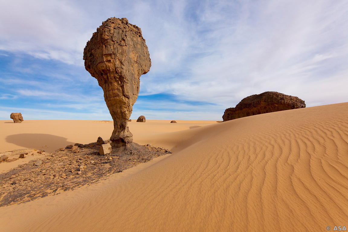 Tamanrasset New Year's Eve Program 